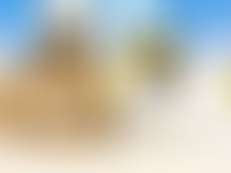 3月14日(月)ご来店のうさちゃん