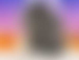 10月9日(日)ご来店のうさちゃん