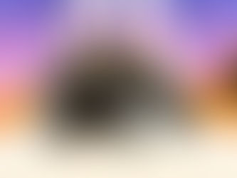 10月31日(月)ご来店のうさちゃん