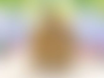 6月5日(日)ご来店のうさちゃん