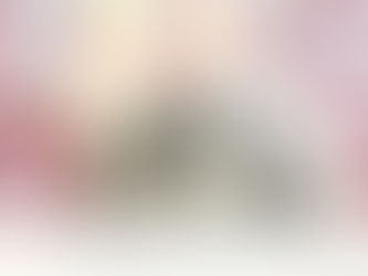 2月23日(水) ご来店のうさちゃん