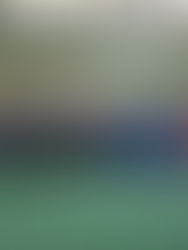 WINTER CUP 2026 - 1^ EDIZIONE | IL FOTORACCONTO DELLA PRIMA GIORNATA DEDICATA AI PRIMI CALCI 2017