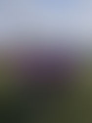 UNDER 19 - L'ASTI CONQUISTA LA POSTA PIENA CON IL MINIMO SFORZO