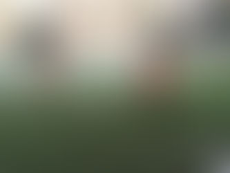 Settore Giovanile - Weekend del 20 e 21 Novembre 2021 + Recuperi