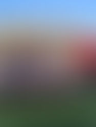 GIOVANILI - LE PARTITE DEL 18 E 19 APRILE 2026