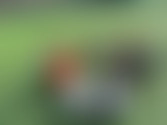 GIOVANILI - LE PARTITE DEL 31 GENNAIO E 1 FEBBRAIO 2026