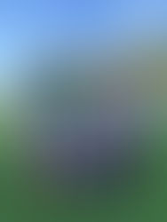 GIOVANILI - LE PARTITE DEL 28 E 29 MARZO 2026