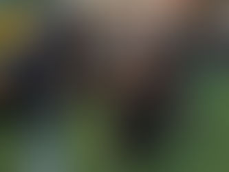 WINTER CUP 2026 - 1^ EDIZIONE | IL FOTORACCONTO DELLA SECONDA GIORNATA DEDICATA AI PRIMI CALCI 2018