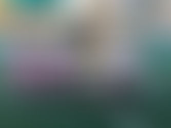 GIOVANILI - LE PARTITE DEL 13 e 14 DICEMBRE 2025