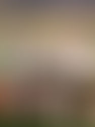 GIOVANILI - LA FIGC FA VISITA ALLE NOSTRE RAGAZZE