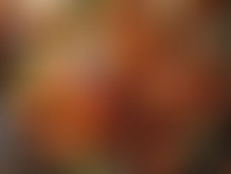 What To Drink This Christmas?