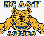 ncat.png