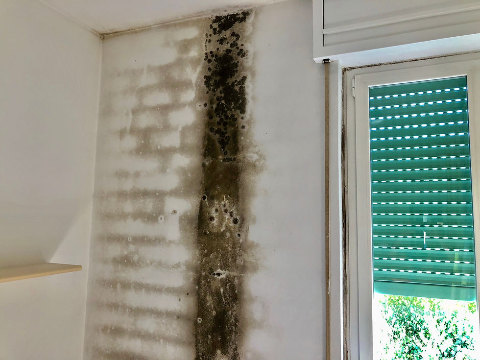 Risanamento e isolamento ambienti