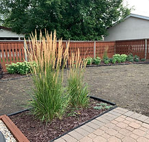 Back Yard Topsoil