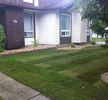 New Sod
