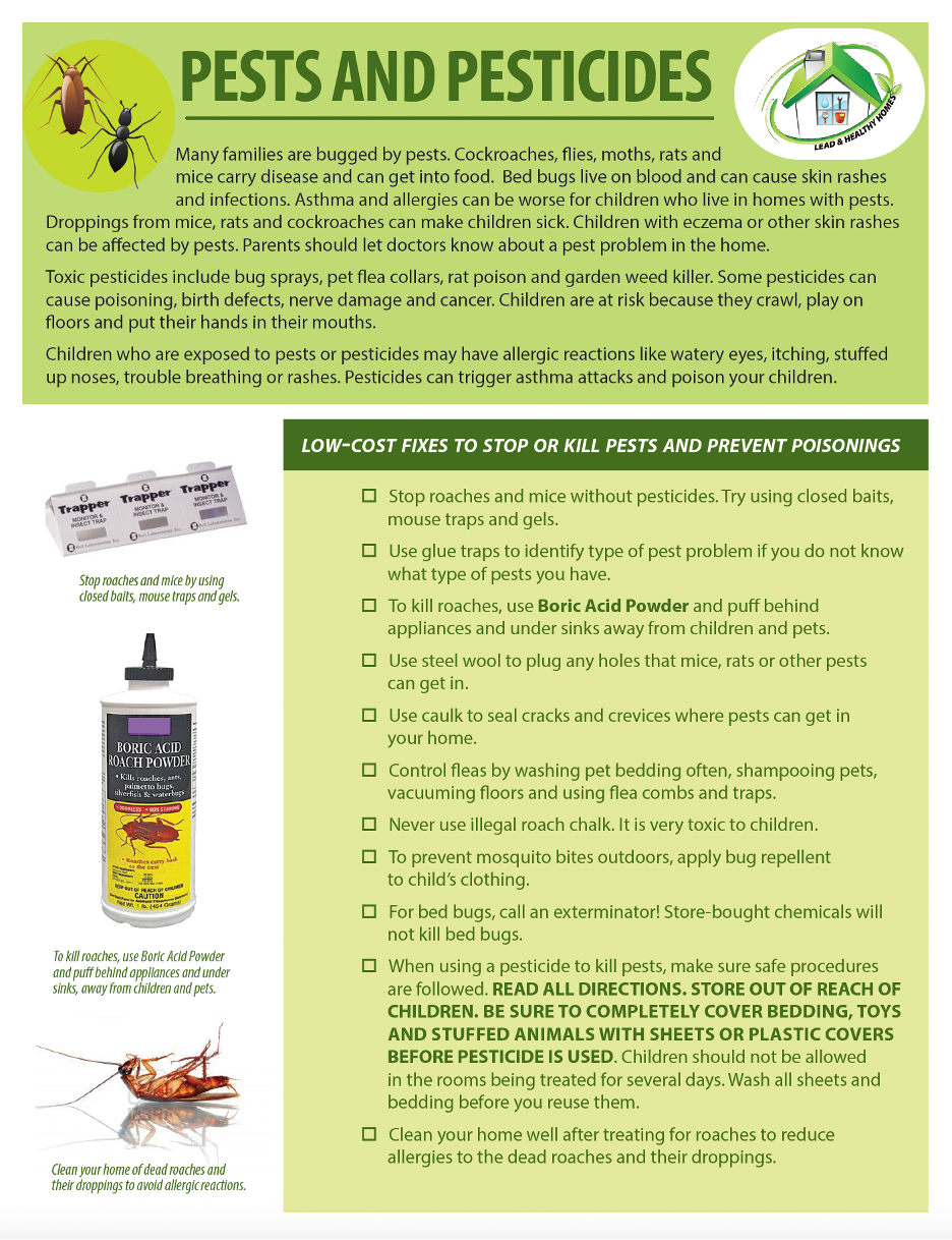 Pests and Pesticides Action Sheet