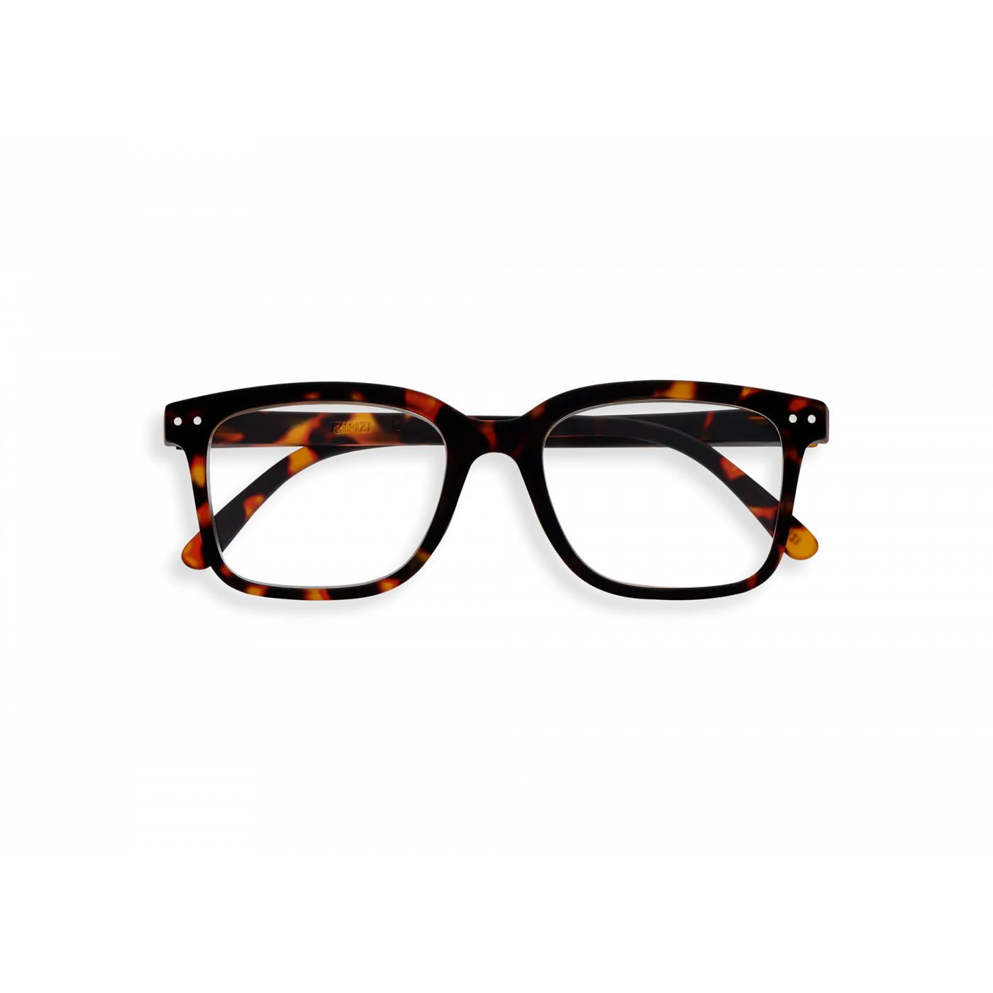 l-tortoise-reading-glasses.webp