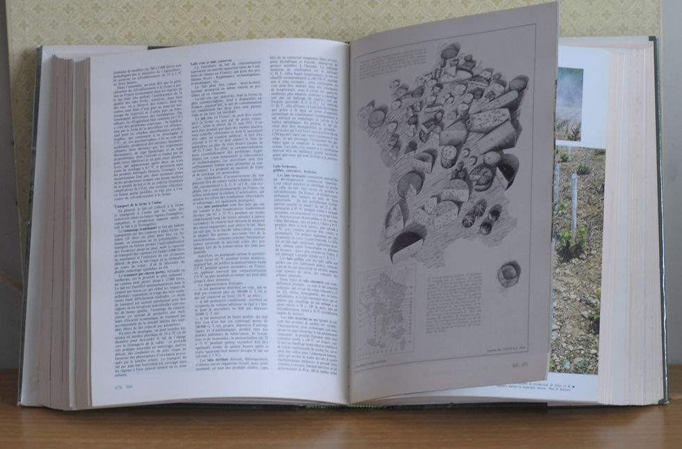 Miniature : LAROUSSE AGRICOLE
