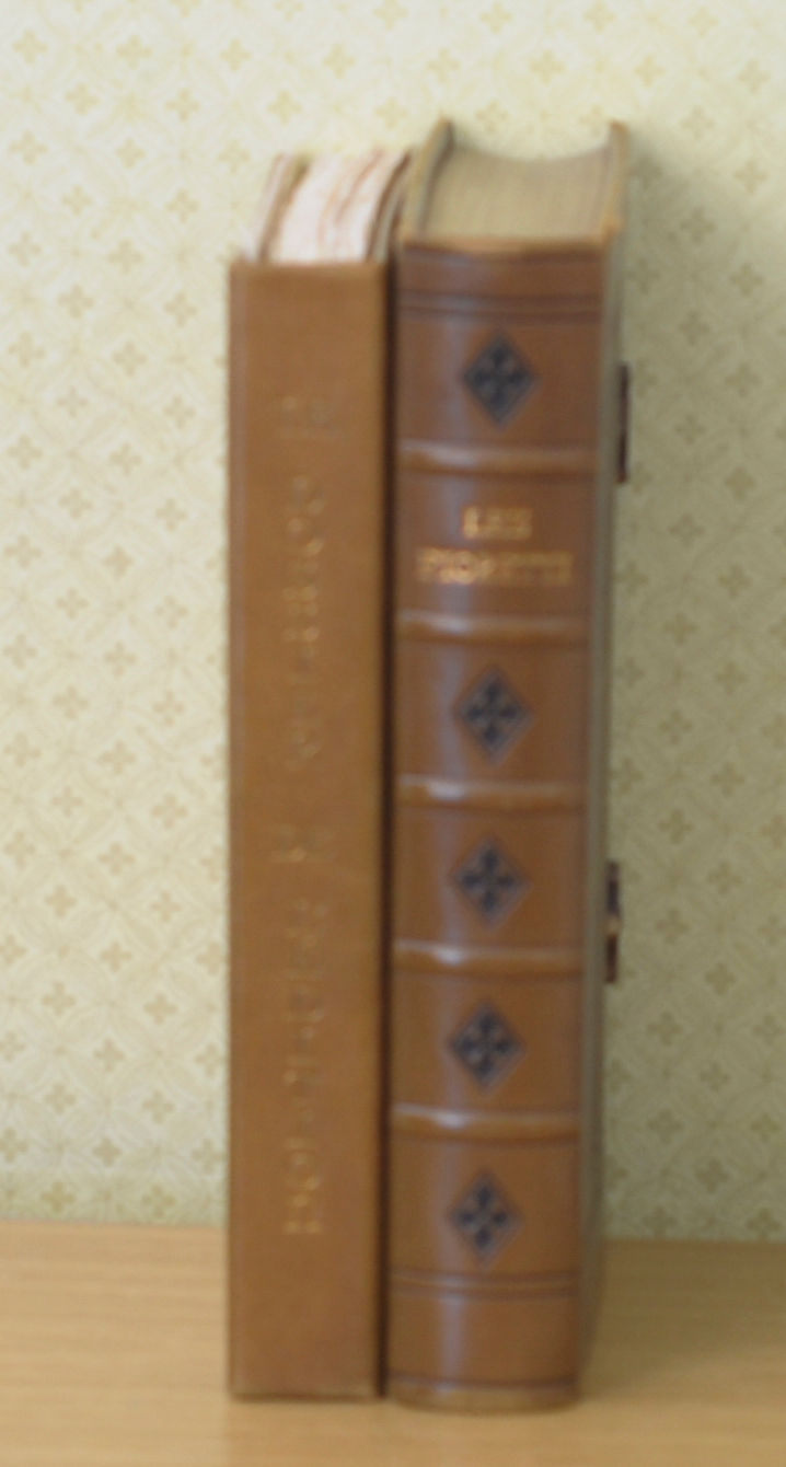 Miniature : LES FIORETTI