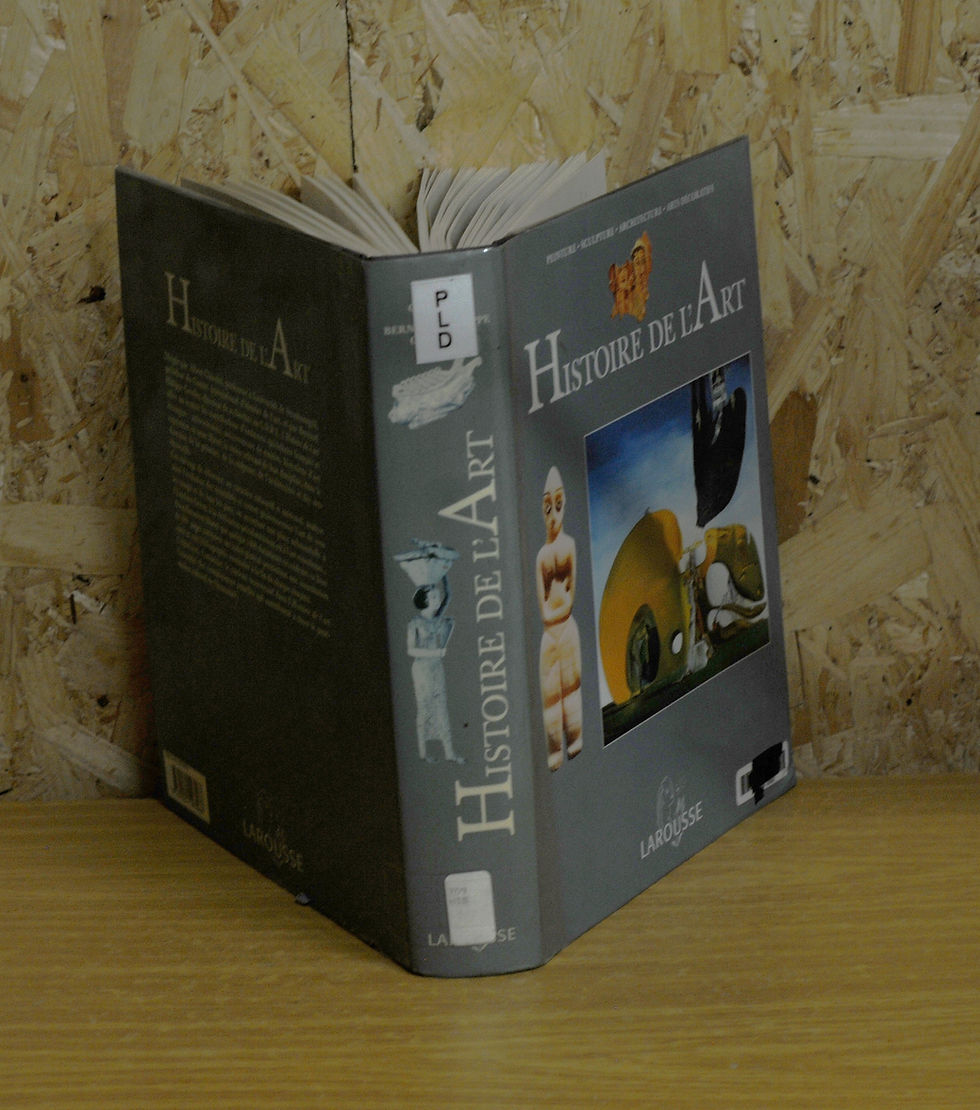 Miniature : Histoire de l'Art par A. Chatellet