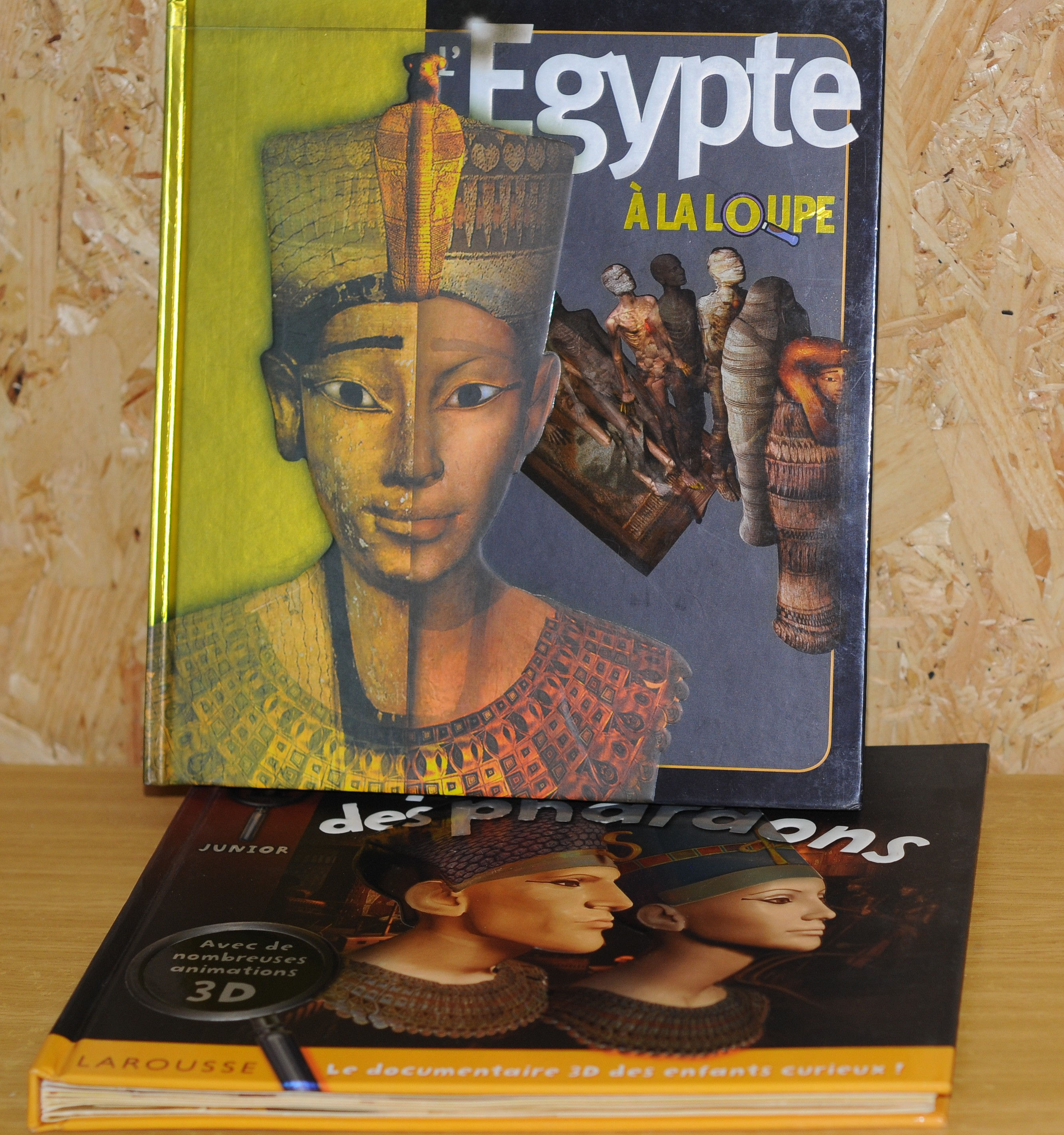 L'EGYPTE A LA LOUPE + L'EGYPTE AU TEMPS DES PHARAONS