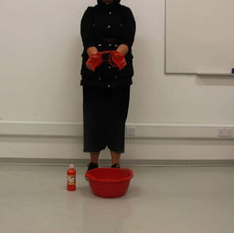 Experimental performance- based on the idea of a bystander.