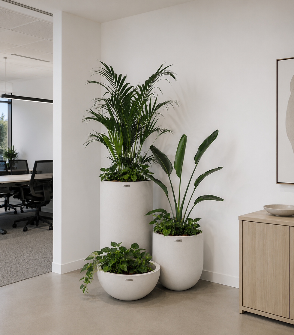 Office plant hire b.leaf