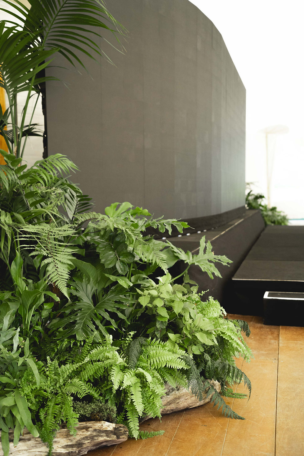 Plant wall installation b.leaf