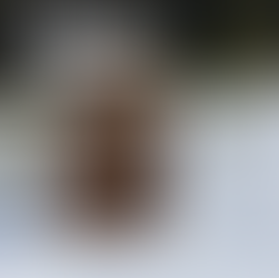 outhouse in the snow