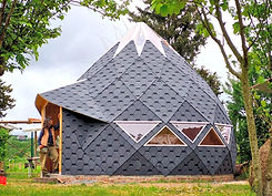 Asphalt Shingles_edited.jpg