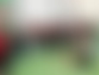 Brigada de Incêndio