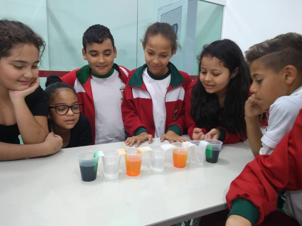 Aguas Que Andam No Papel Toalha Explicação Experimento Aguas Coloridas Que Andam