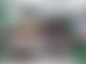 Todos juntos no Combate à Dengue – Pré A e Pré B