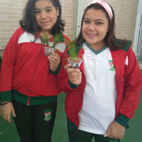 Atividade 5º ano A