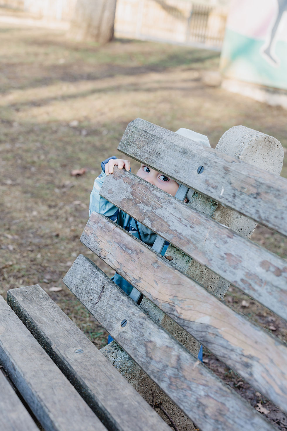 kleiner Junge guckt durch die Lehne einer Holzbank