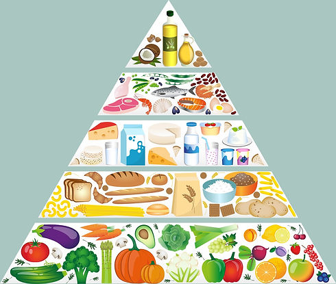 food-pyramid-g0fcf0af1c_1280_edited.jpg