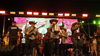 CUMBIA FEST_CONCIERTO (20).JPG