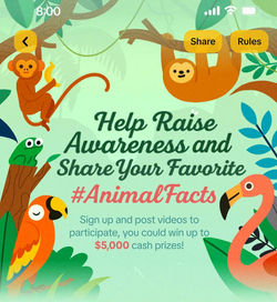 Animal Facts Post Contest