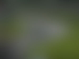 During the Mid-Ohio broadcast, I shared a bit about how Driving Research connects to our work off the track.