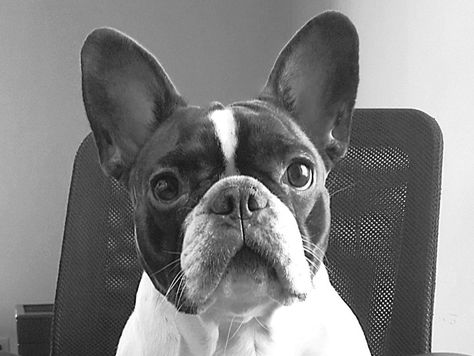 Vacanze... blog in ferie