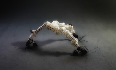 RITASOTO_BROOCH_PARASITE N1_01.jpeg