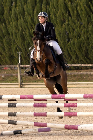6db49814-3cc6-4dba-802c-37cf784cbc62_edited.jpg