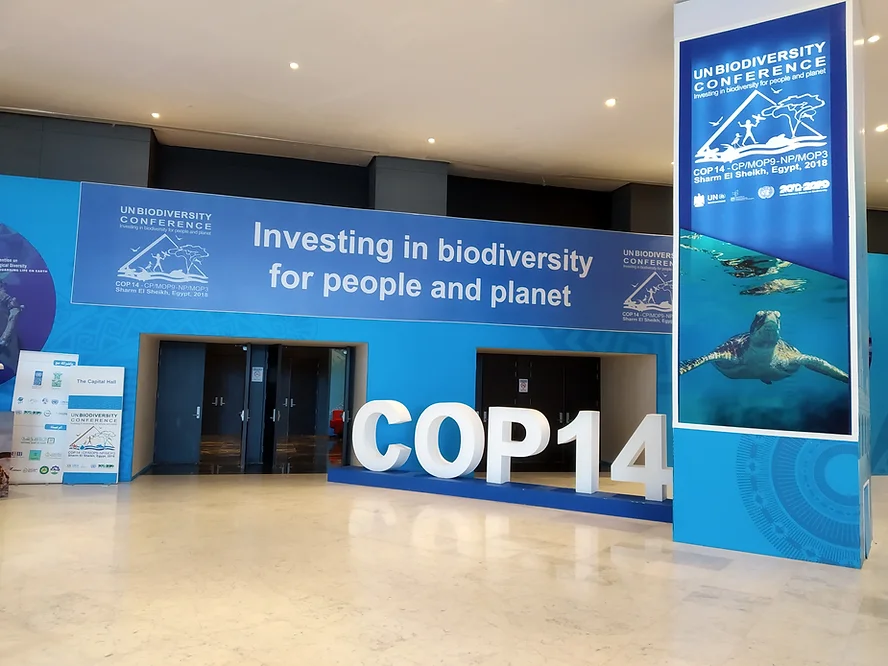 CBD COP14