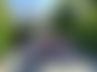 Поклон пред Васил Левски