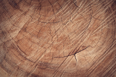 pexels-fwstudio-172288.jpg
