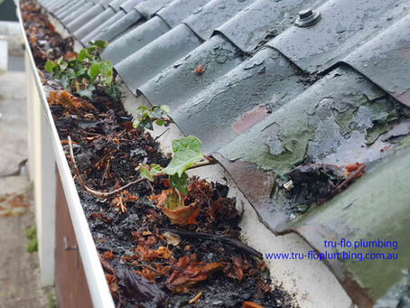 Gutters need cleaning? No problem Tru-Flo Plumbing has you covered