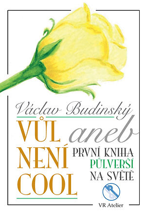 pulversi.jpg