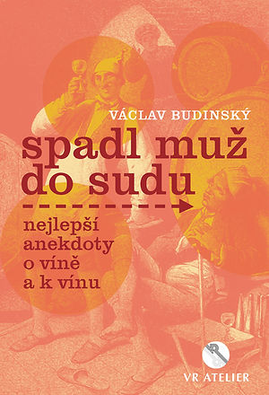 spadl-muz-do-sudu.jpg