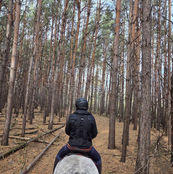 Fall Trail Ride Competition Pics