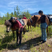 Families and friends having fun with their Icelandic horses.